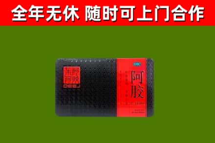 临沧回收阿胶
